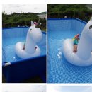 제주 호박 민박 네이버블로그