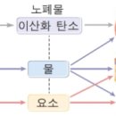 호흡성산증/고질소혈증/신장 이미지