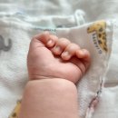 선우크리너 이미지