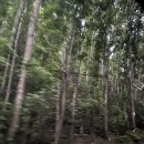 안경맨통영 이미지