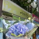 이지플라워 | 효창공원앞역 가성비 좋은 꽃다발 ‘이지플라워’ 솔직후기