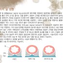 클레오여성의원 이미지