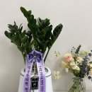 성문한의원 이미지