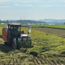 &#34;3차 소비쿠폰?”…&#39;15만원씩 2년간&#39; 매달 지급 확정 이미지