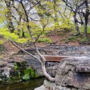 흥덕왕릉 화장실 이미지