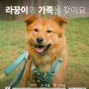 라꿍/여아/2-3살 이미지
