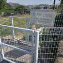 퍼피앤독 이미지