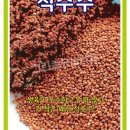 그린종묘농약사 이미지