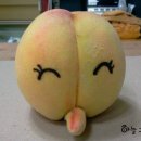 황복농장 이미지