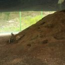 홍천목장 이미지