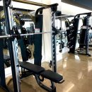 빽짐헬스 이미지