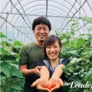 김태희의팜스쿠키 더 리더
