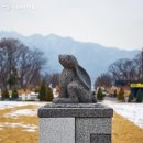 점프(JUMP) 이미지