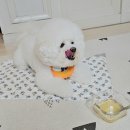 가마솥황태 이미지