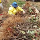 김종섭농장 이미지