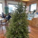 삼육목장 이미지