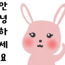 피오르디 젤라또 이미지