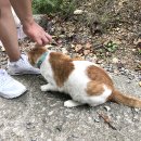 황정캠핑장 입구 | 양평 꿈의마을캠핑장 2박 생생후기