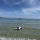 씨유민박 | [경북/포항] 에메랄드 해변 포항 오도리해수욕장에서 스노쿨링 해루질+평상대여