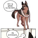 롤랑 - 27214 | 롤랑