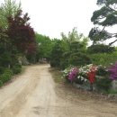 마장농장 이미지