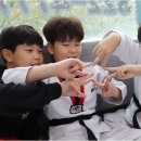 계명대K태권도장 이미지