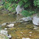 쓰리웨이1 이미지