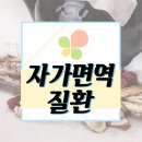 면혁한의원 | 자가면역질환 한번 파악해볼까요?