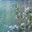 다담한의원 이미지