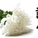 일심반점 - 진주시 동부로 563 | 일심반점