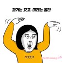 직구신난다
