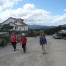 대관령마루길 이미지