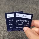 여름휴가 강원도 삼척 장호항 스노쿨링 후기