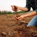 유기 농업기능사 국가기술자격증 이미지