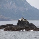 (주)그린크루즈 이미지