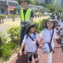 국가대표 한울태권도 이미지