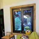 부엉이랜드 이미지