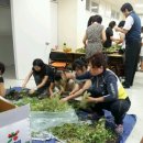 생활원예 강좌 이미지