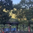 장군목인증센터 이미지