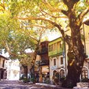 대영여인숙 | 【그리스 기행】 17. 바사이Βάσσαι/Bassai/Bassae