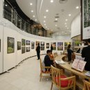 강원랜드PC 이미지