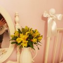 소피아방 이미지