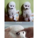 늑대PC방 이미지