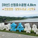 제29회차 세자매 천안 아산 신정호수트레킹 11월21일(토) 쌍용회관06시출발 회비 65,000원 이미지