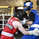 용인대SH복싱 이미지