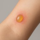 설파약국 이미지