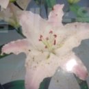 마르코농장 이미지