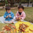 10.28 - 가을 낙엽으로 밥상을 만들어요 이미지