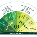 햇살 좋은날 이미지