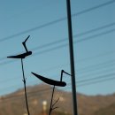 솟대 - 종로구 종로 336 | 솟대